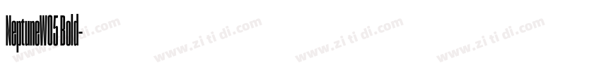 NeptuneW05 Bold字体转换